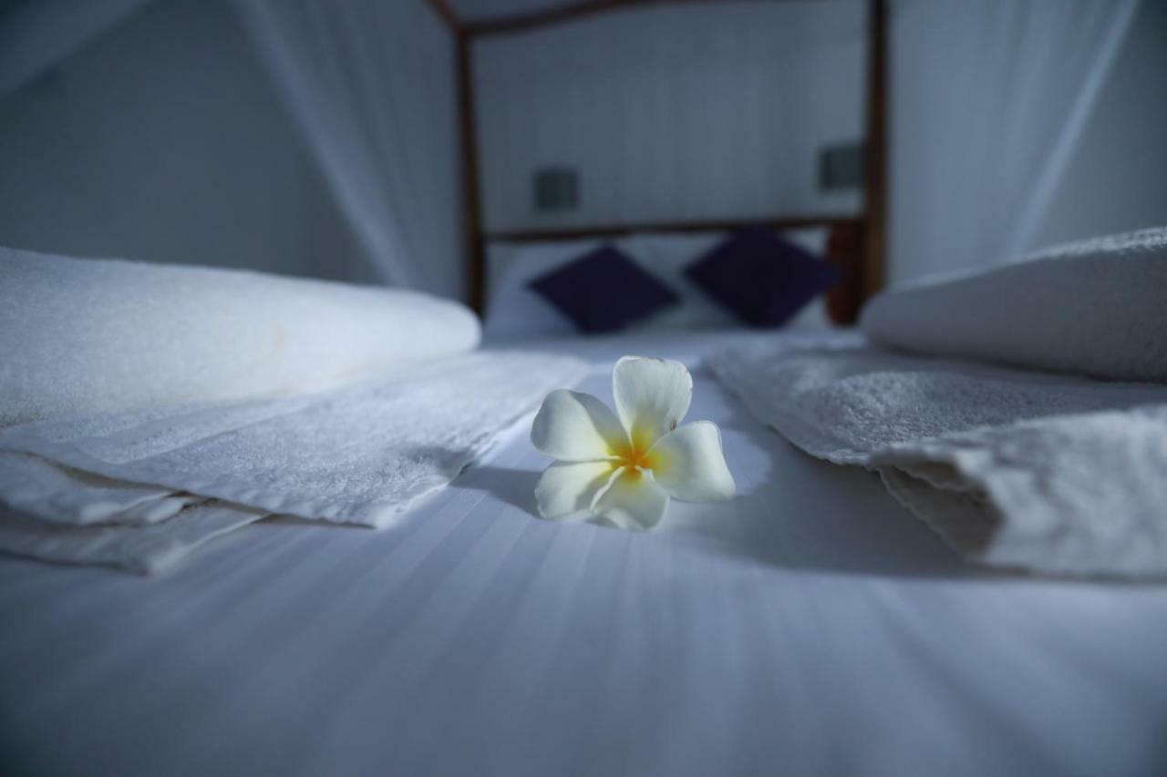 Dock Holiday Guest House อูนาวาตูนา ภายนอก รูปภาพ