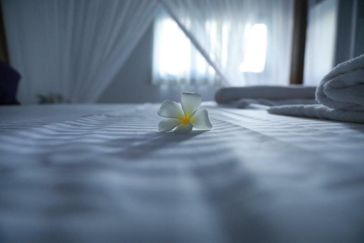 Dock Holiday Guest House อูนาวาตูนา ภายนอก รูปภาพ